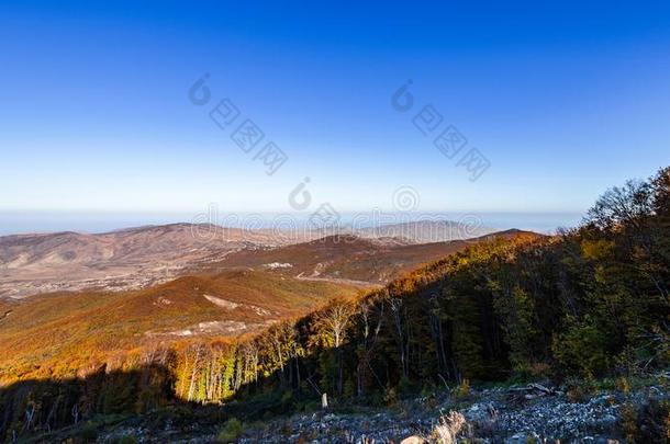 山风景,秋森林