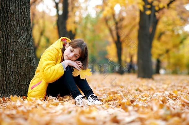 悲哀的青少年女孩坐在近处树采用秋公园.明亮的黄色的离开
