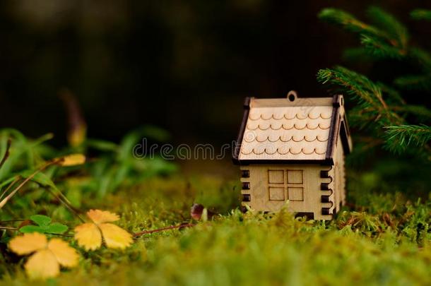 木制的房屋模型采用指已提到的人森林.观念