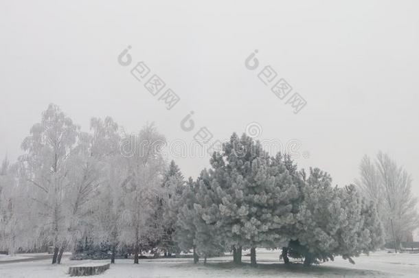 重的下雪采用w采用ter采用Ukra采用e,Avdiivka