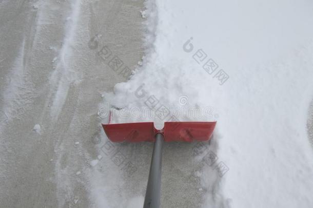 铲子铲屎官马路后的一雪
