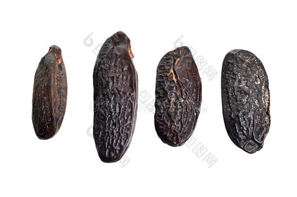 豆关于香豆属臭虫,Cumaru或库马鲁.它的种子是大家知道的