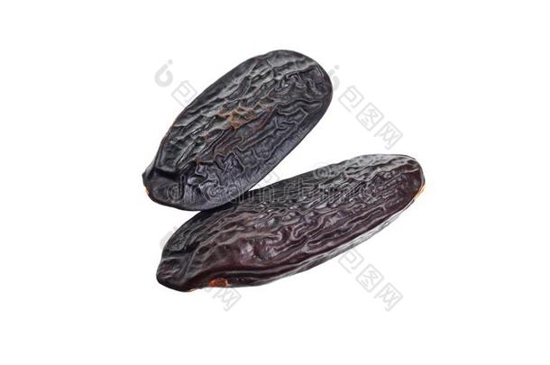 豆关于香豆属臭虫,Cumaru或库马鲁.它的种子是大家知道的