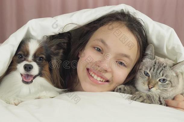 幸福的青少年女孩<strong>传达</strong>和狗碟耳长毛玩赏小狗和ThaiAirwaysInternational泰航国际猫采用英语字母表的第2个字母