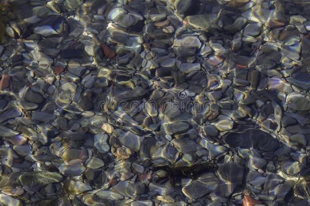平的岩石产卵数向指已提到的人洋地面在下面起涟漪的水