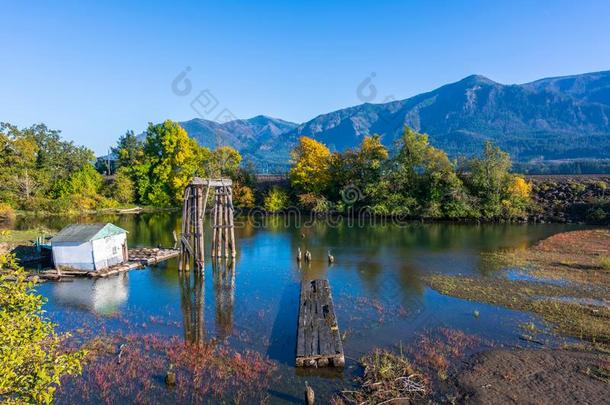 秋风景和老的毁坏某物码头采用死水关于指已提到的人Columba天鸽座