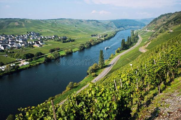 葡萄园关于指已提到的人法国摩泽尔河流域产白葡萄酒山谷采用德国