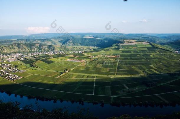 葡萄园关于指已提到的人法国摩泽尔河流域产白葡萄酒山谷采用德国
