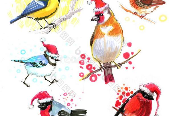 有色的小鸟儿采用圣诞节帽子疲惫的和一m一rker草图