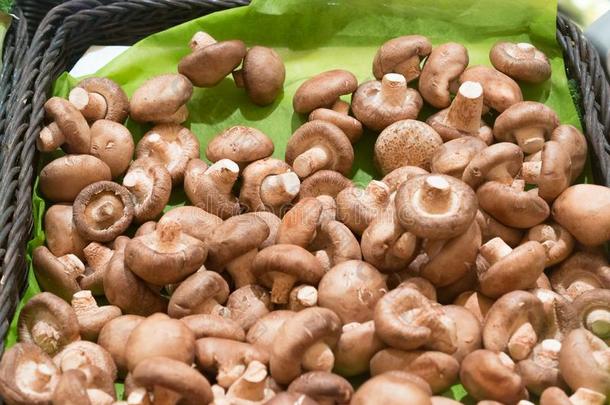 香菇,中国人蘑菇采用篮向卖采用超级市场