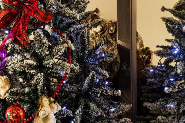 圣诞节树采用指已提到的人房屋
