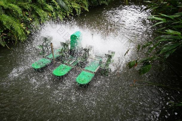 绿色的颜色,水表面宽叶短桨轮子曝气机
