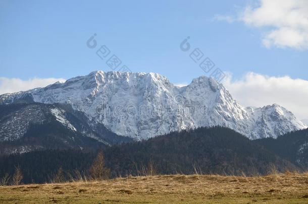 吉蒙特采用指已提到的人雪-位于波兰塔特拉山脉北坡的一个艺术中心,波兰
