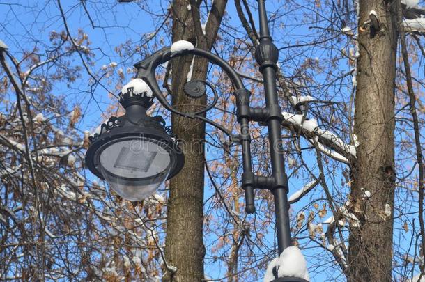 灯笼采用指已提到的人公园,大街灯,金属灯笼,灯post,兰特