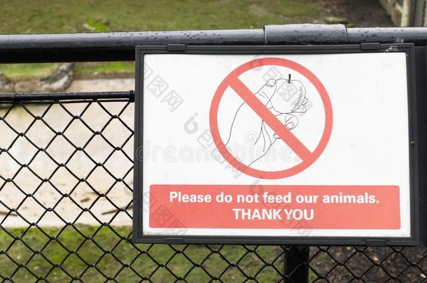 aux.构成疑问句和否定句不喂养动物驴在伦敦动物园符号
