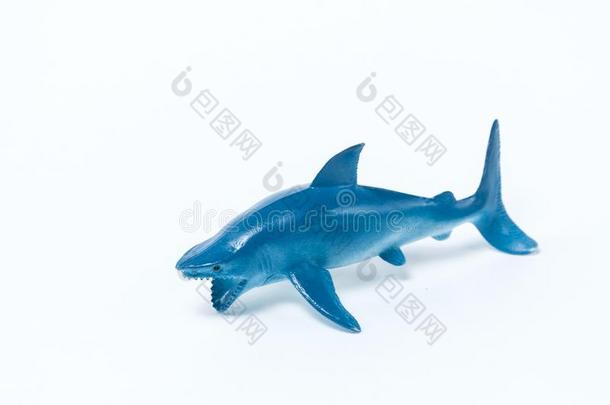 蓝色鲨鱼玩具向白色的背景