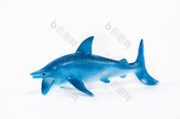 蓝色鲨鱼玩具向白色的背景