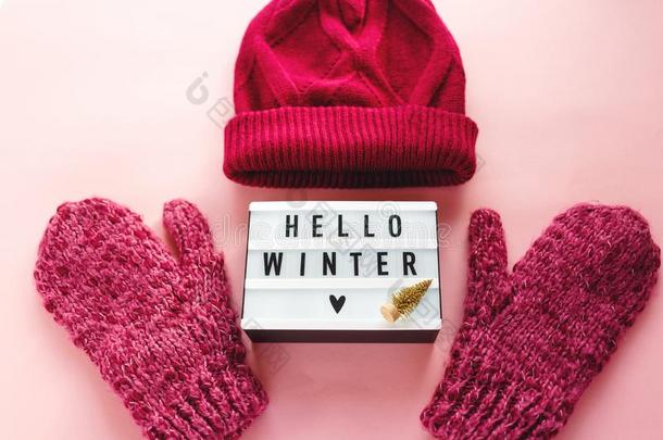 暖和的,舒适的冬衣服帽子,连指手套,灯箱和圣诞节