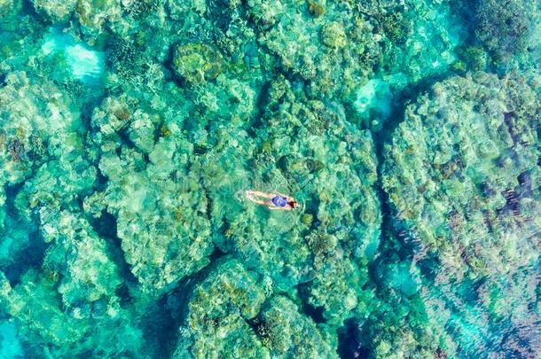 空气的顶下人用通气管潜泳向珊瑚礁热带的卡里贝