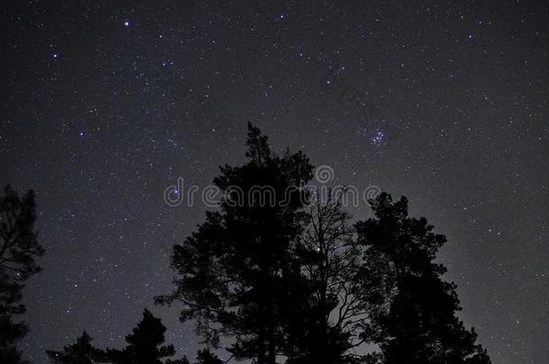 夜天specializedtraining和reassignmentstudents经过专门训练后再分配的学生御夫座星座和淋巴结