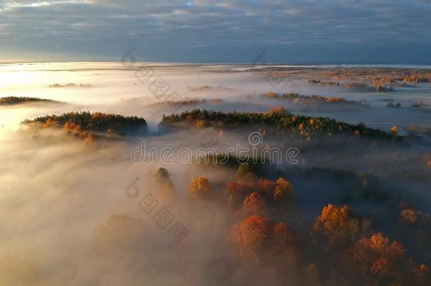 空气的看法关于有雾的秋日出.