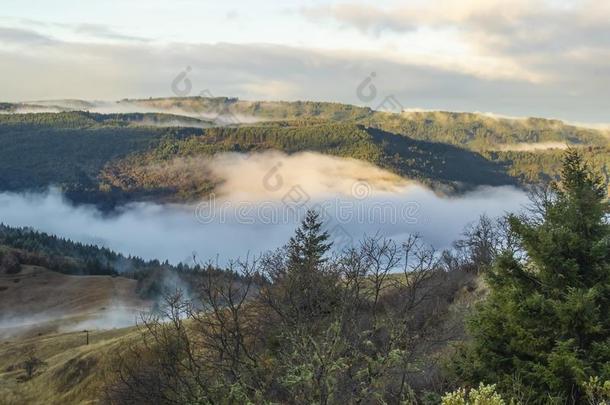 多雾的山-看法出局越过山和雾满的山谷