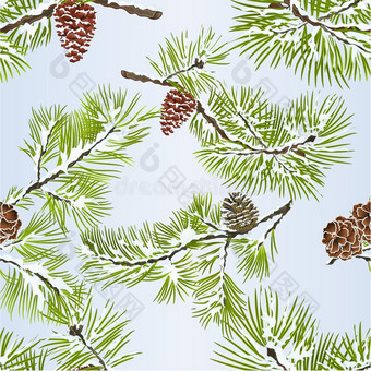 无缝的质地各种各样的松树和松树圆锥体树枝冬下雪的图片