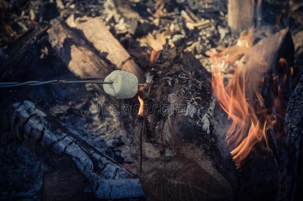 透过声调影像关于蜀葵糖浆用于烤炙的越<strong>过户</strong>外的篝火