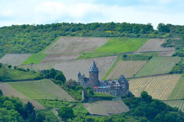 一德国的城堡是（be的三单形式被环绕着的耕作田和森林.