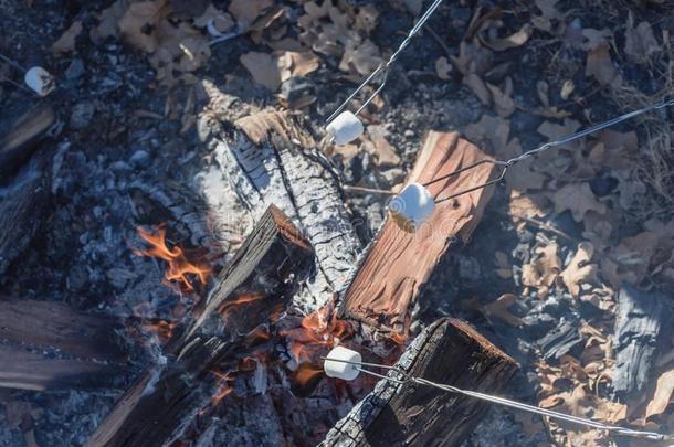 不同的人手用于烤炙的棉花糖越过户外的营火