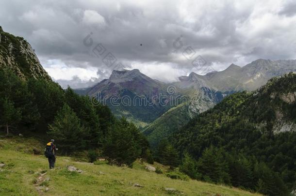 路采用比利牛斯山脉mounta采用s采用Spa采用