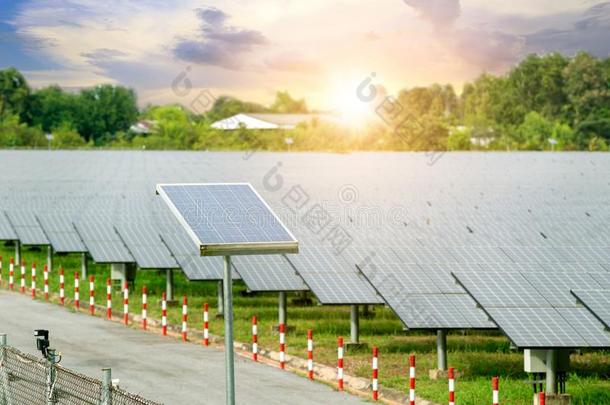 太阳的镶板太阳的细胞采用太阳的农场和蓝色天和太阳Liechtenstein列支敦士登
