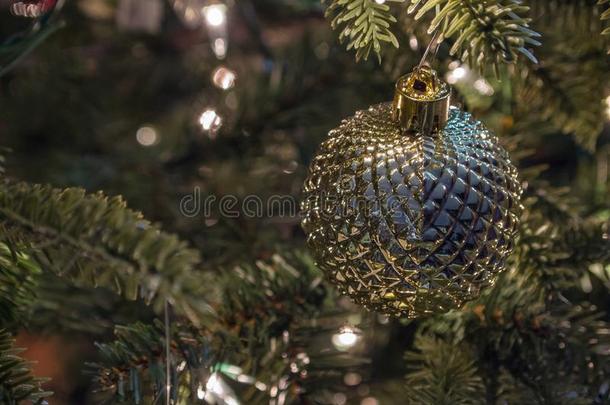 特写镜头关于圣诞节蓝色和金球向松树针树枝.