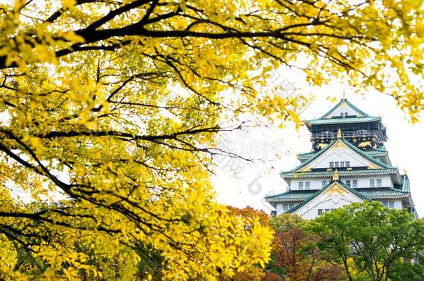 大阪城堡和秋季节采用大阪,黑色亮漆.