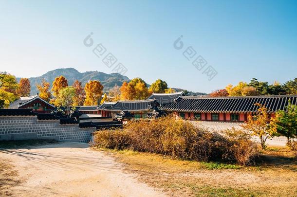 景福宫宫和秋枫树采用首尔,朝鲜