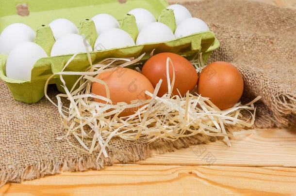棕色的卵反对关于纸纸浆尤指装食品或液体的)硬纸盒和白色的卵