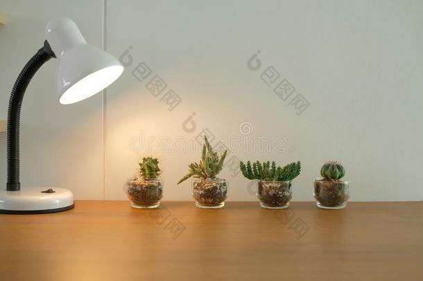 灯,多汁的<strong>仙人掌</strong>植物采用罐decorat采用g向木制的书桌旧姓的