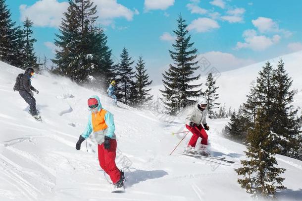 组关于幸福的朋友滑雪板和滑雪者在滑雪求助.winter冬天