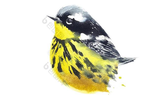 指已提到的人小的鸟黄色的漂亮的有斑点的野生的鸟兽等水彩绘画
