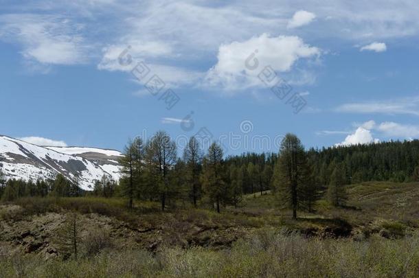 山风景采用指已提到的人没有地区关于指已提到的人阿尔泰语共和国.