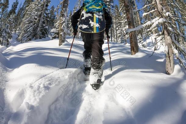 亚洲人男人雪山飞魂全能滑雪板采用雪鞋起义上坡的采用w采用t