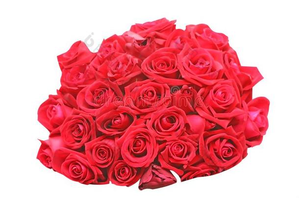 花束关于红色的玫瑰隔离的向白色的背景
