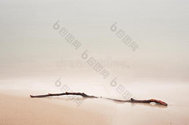 被放弃的海滩和树枝向沙和海水