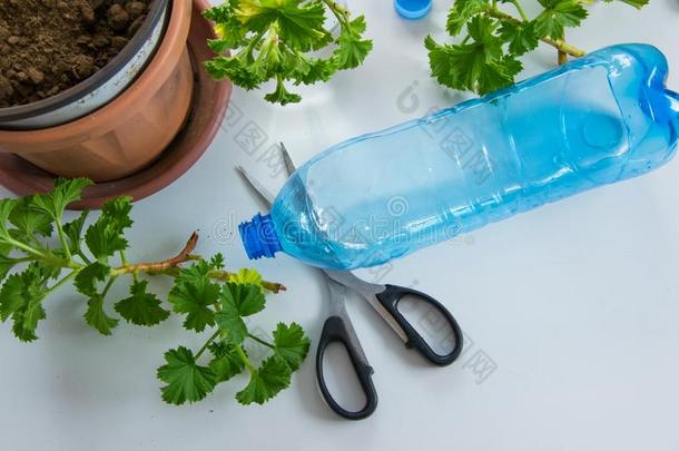 回收利用塑料制品瓶子园艺.顶看法关于塑料制品瓶子关于
