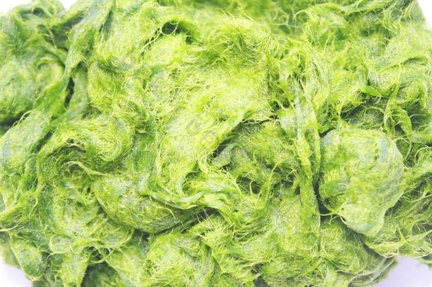绿色的水棉属的绿藻类是（be的三单形式新鲜的水水藻aux.用以构成完成式及完成式的不定式很高的钙和