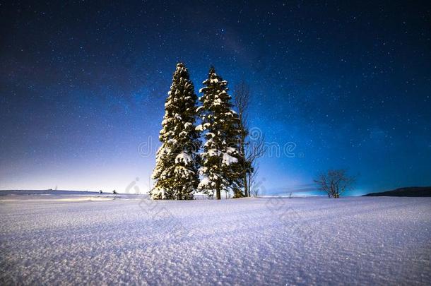 布满星星的冬夜.圣诞节树向一下雪的田在下面指已提到的人
