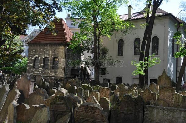 老的犹太人的干尸,布拉格,捷克人共和国