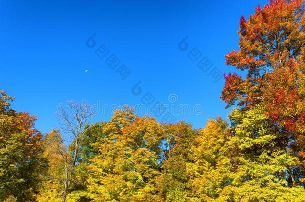 秋风景优美的驾驶一起指已提到的人蓝色背脊大路采用北方卡罗利