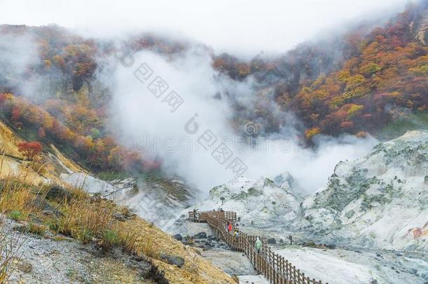 诺贝图温泉采用秋,北海道,黑色亮漆