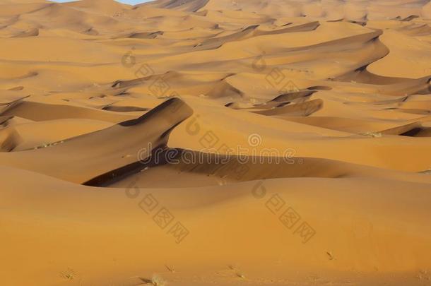摩洛哥羊皮革.美丽的日落采用指已提到的人撒哈拉沙漠沙漠.沙沙丘在USSR苏联